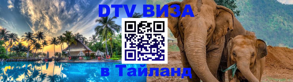 Сколько стоит DTV виза — актуальные цены, оформление даже без документов - 19.11.2025 